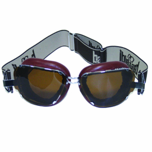 Inte 259  cioccolato