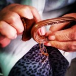 11390221_10152880253051485_3972066044212309069_n